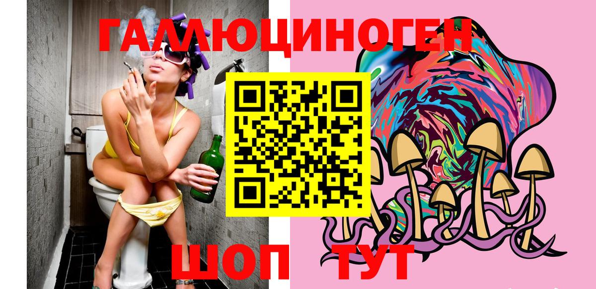 Димитровград  Псилоцибиновые грибы Magic Shrooms  Вход с VPN 