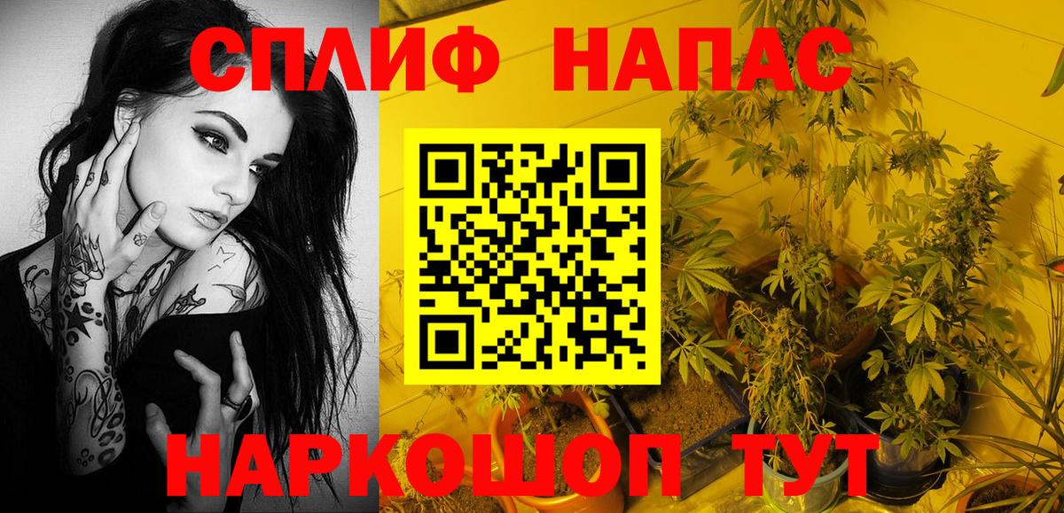 Марихуана OG Kush Димитровград